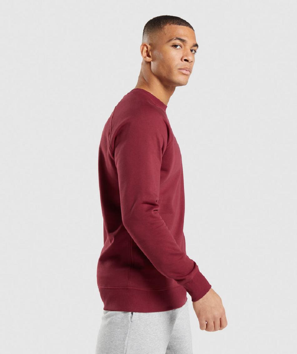 Gymshark Crest Sweatshirt Muške Accessories Bordo Crvene | HR 2772KOR